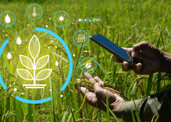 Smart Farming: Technology Feeding the Future