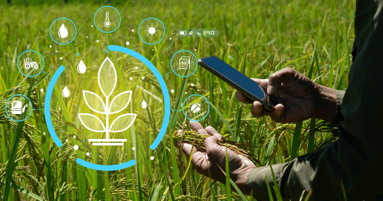 Smart Farming: Technology Feeding the Future